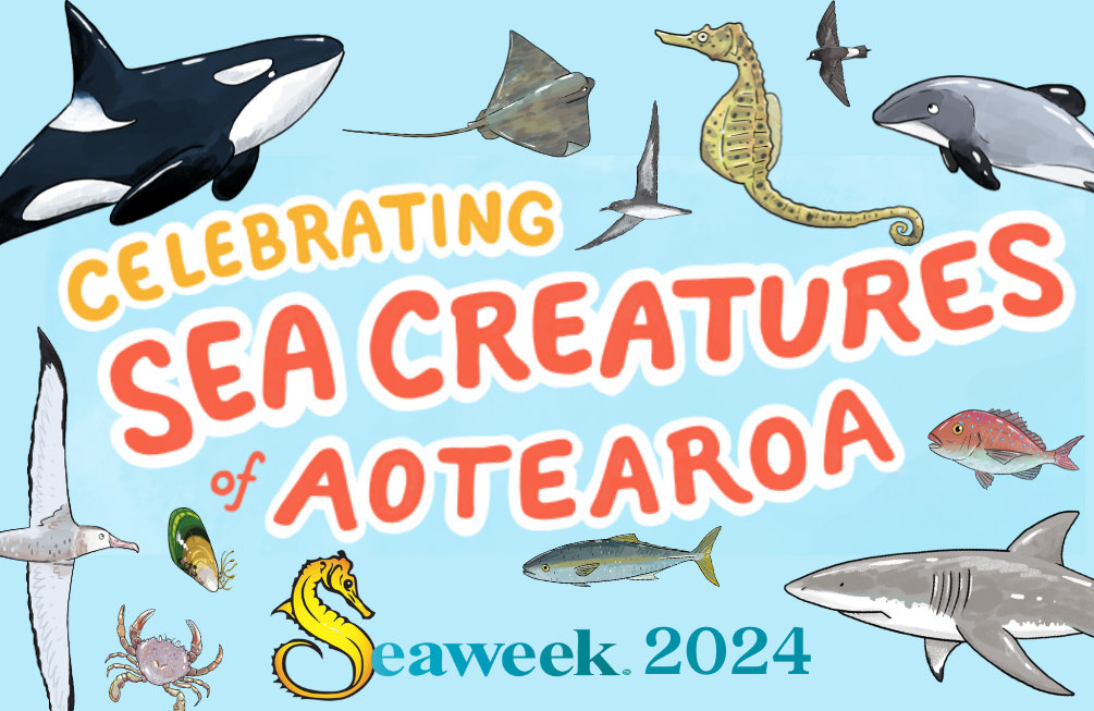 Celebrating Sea Creatures of Aotearoa