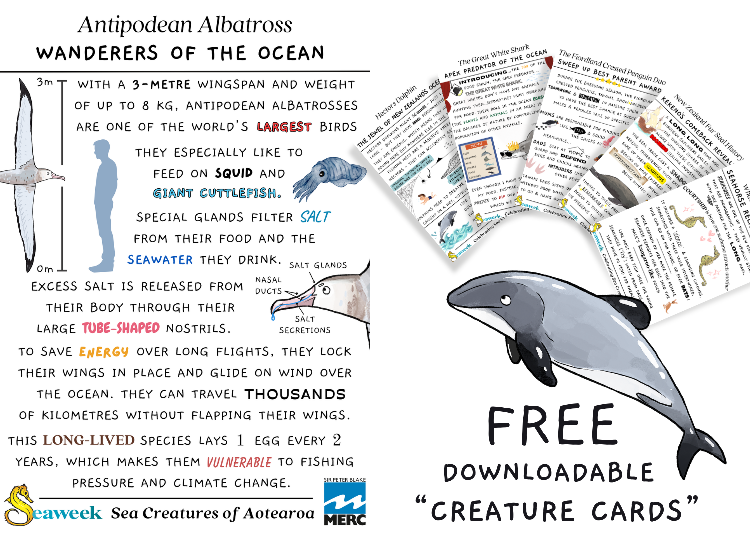 Sea Creature Resources Sea Creature Resources